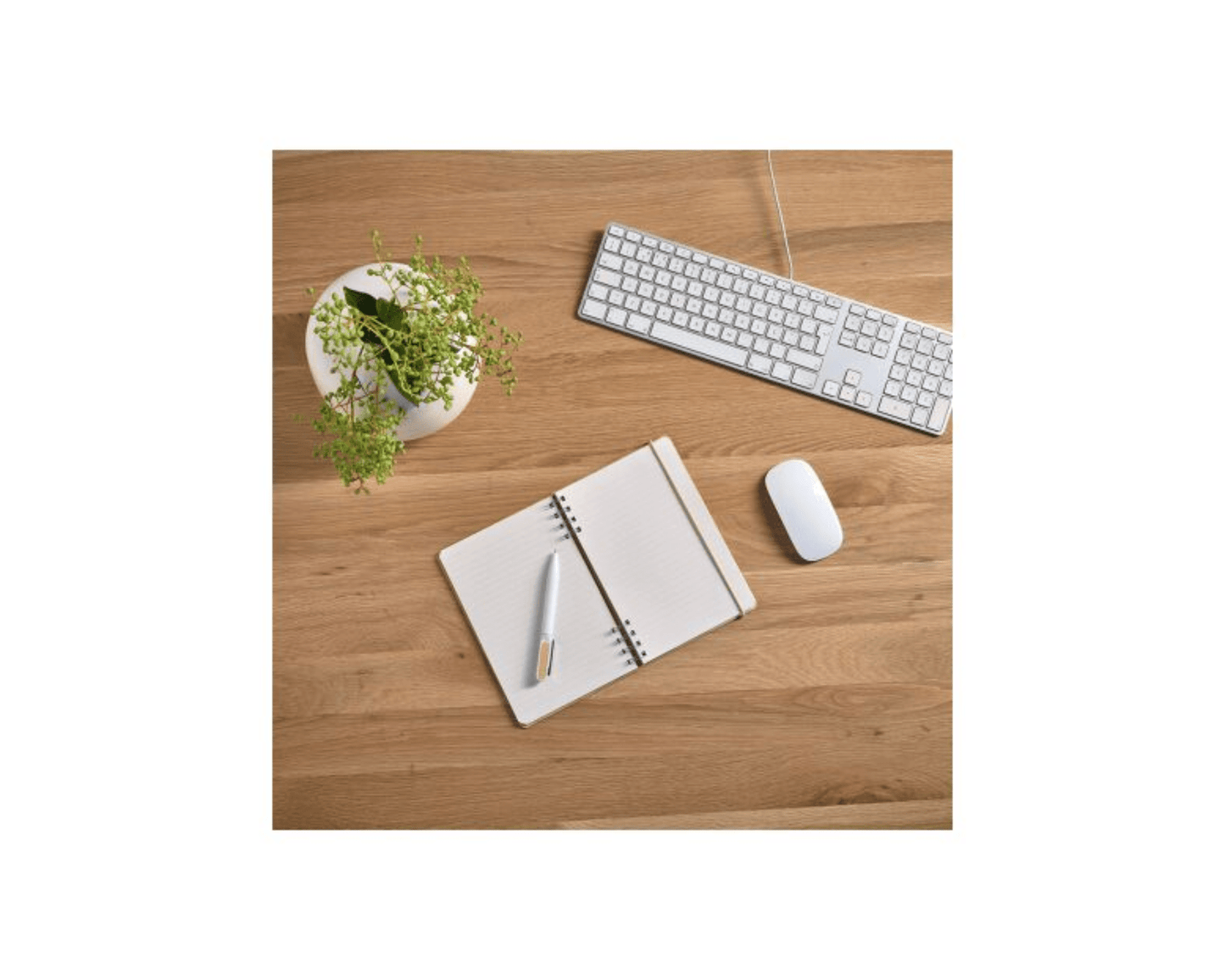 ECO NOTES x BAMBUS - Nachhaltiges Notizbuch mit Bambus - Umschlag | Layana Life – nachhaltige Firmengeschenke