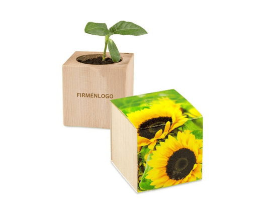PFLANZE X SUN - Holzwürfel mit Samen - Sonnenblume | Layana Life – nachhaltige Firmengeschenke