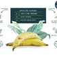Solcina Chips Kochbananen bananen bananenchips Ausgewogen Snack fairtrade Südamerika gesund