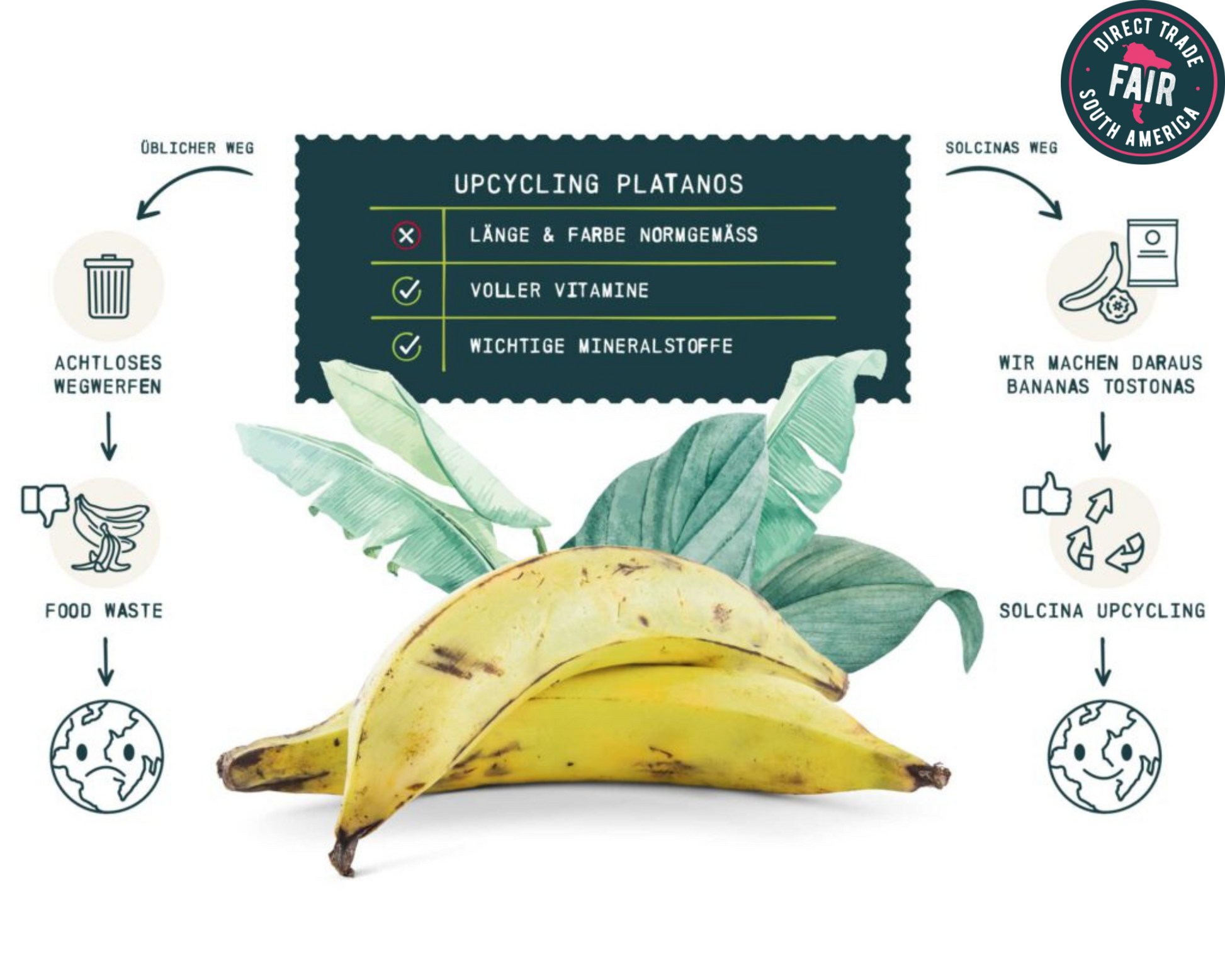 Solcina Chips Kochbananen bananen bananenchips Ausgewogen Snack fairtrade Südamerika gesund